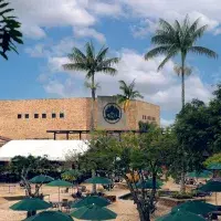 Certificado aprobación/acreditación de la carrera