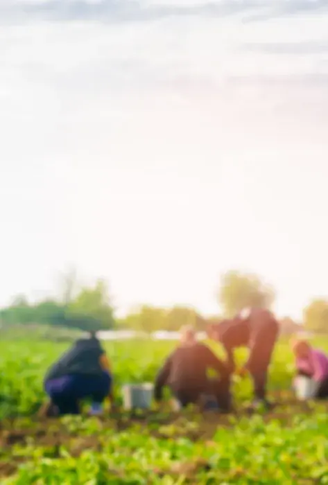 El Ordenamiento Territorial La brújula para destrabar el conflicto agrario en Colombia